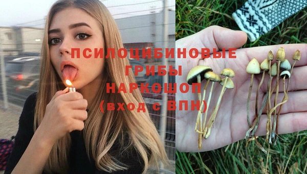 spice Каменка