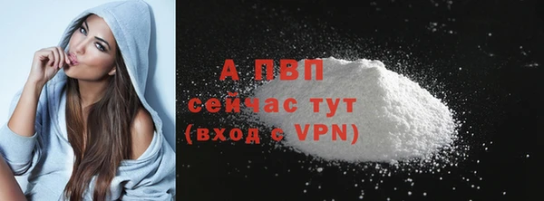 spice Каменка