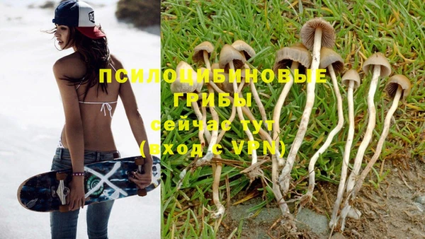 mix Касимов