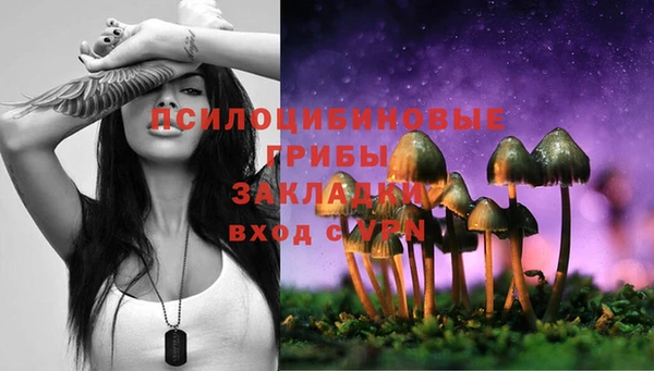 бутират Каменск-Шахтинский