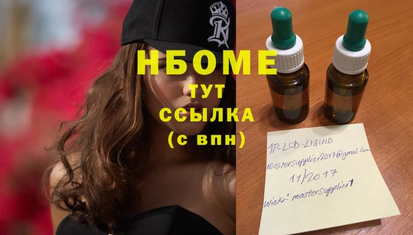 spice Каменка