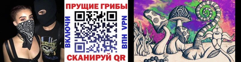 Псилоцибиновые грибы Cubensis  Купить где  Кимры 